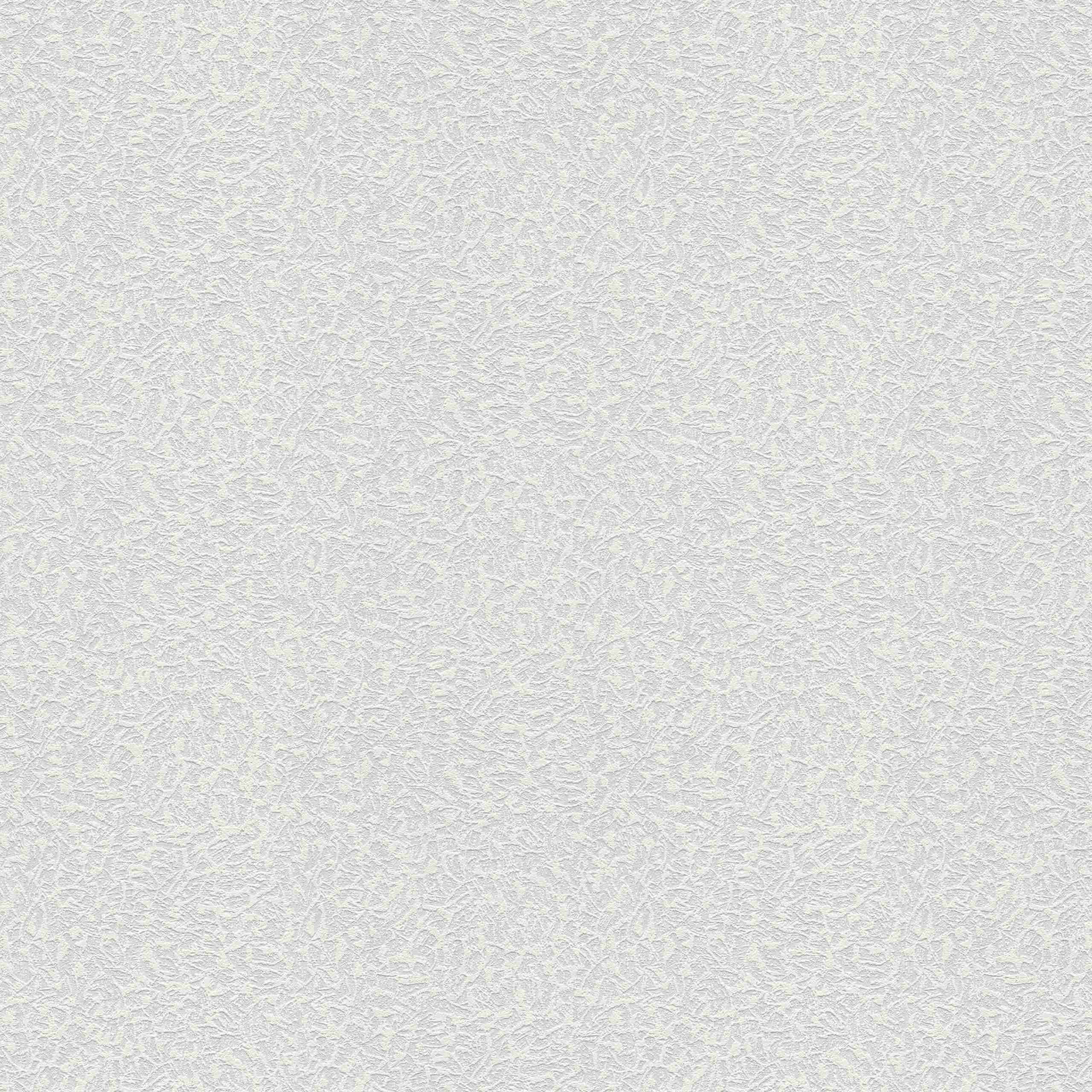 A.S. Creation | Meistervlies | 643018 | Vliestapete Überstreichbar | Putz | 1.06 x 25 m | Weiß