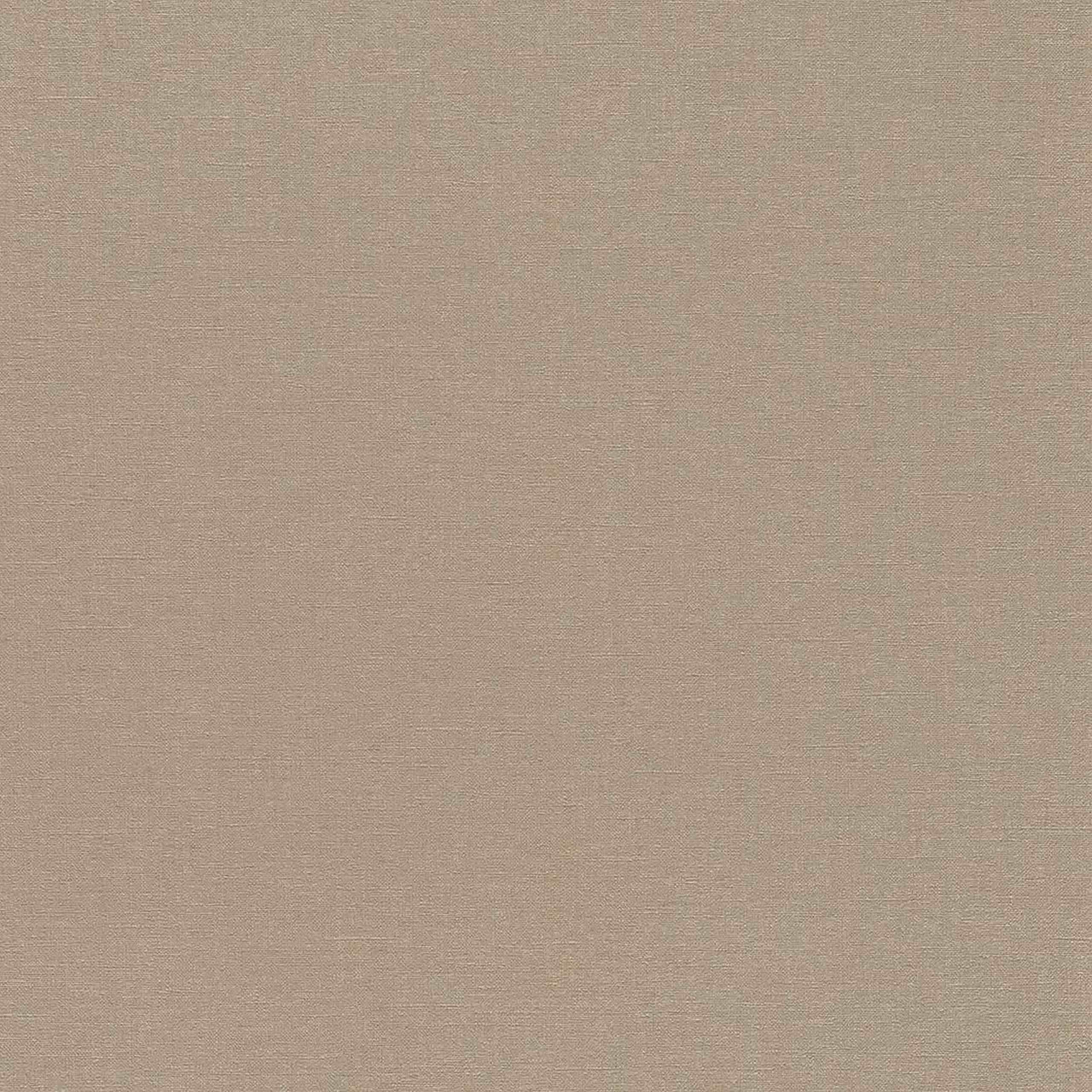 Rasch | Denzo | 449815 | Vliestapete | Einfarbig | Uni | 0.53 x 10.05 m | Beige