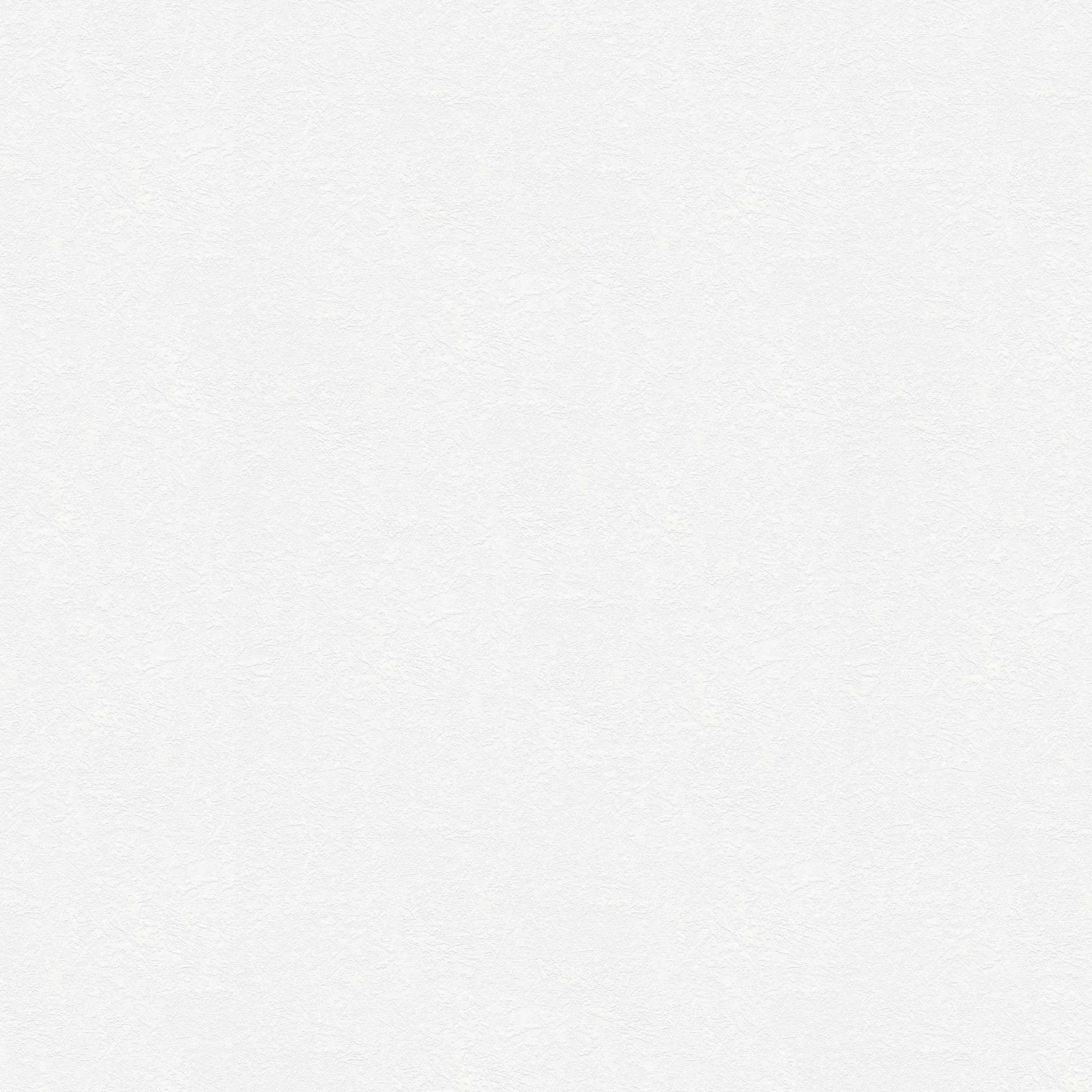 A.S. Creation | Meistervlies | 248817 | Vliestapete Überstreichbar | Putz | 1.06 x 25 m | Weiß