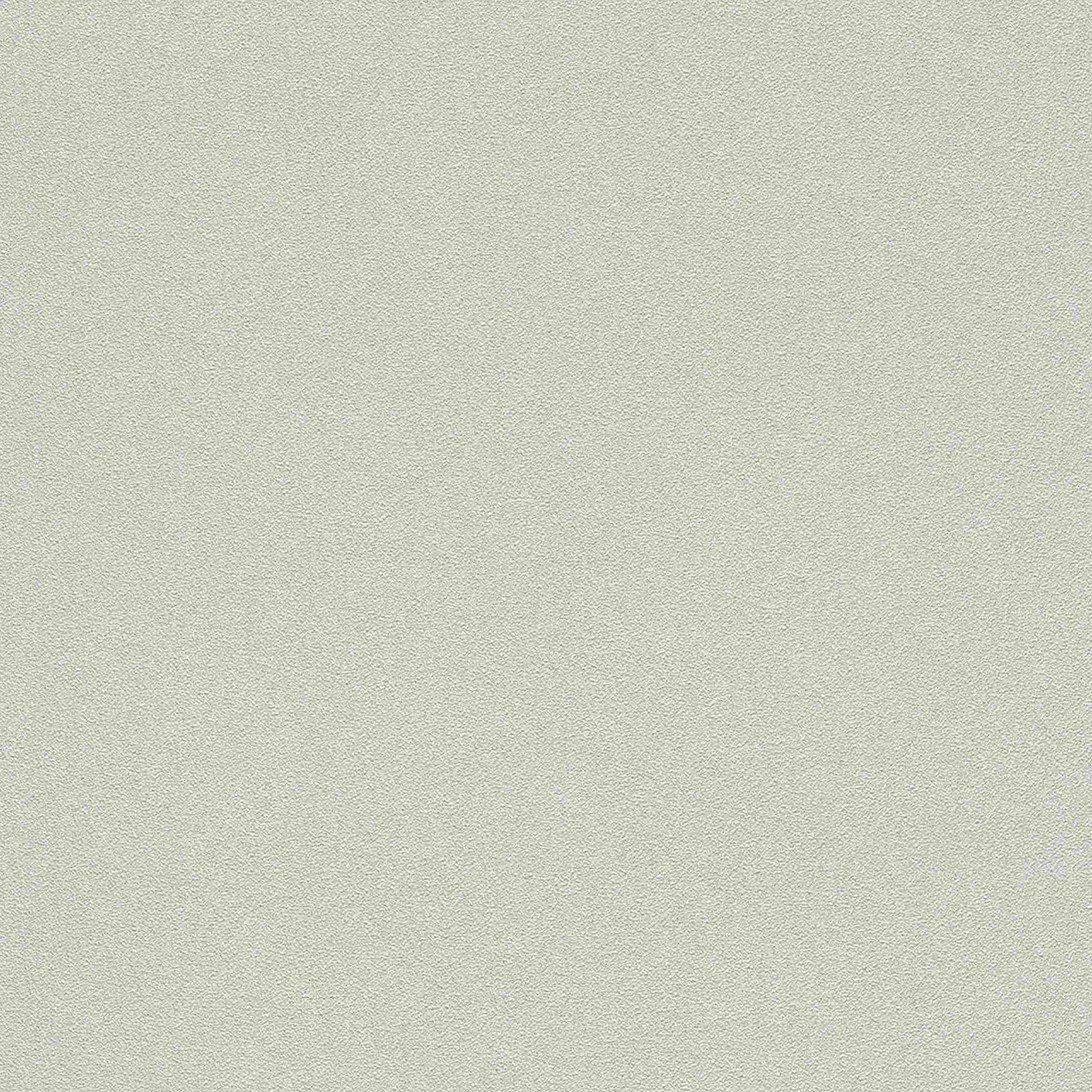 Rasch | Wall Textures Vol. IV | 479430 | Vliestapete | Einfarbig | 0.53 x 10.05 m | Beige