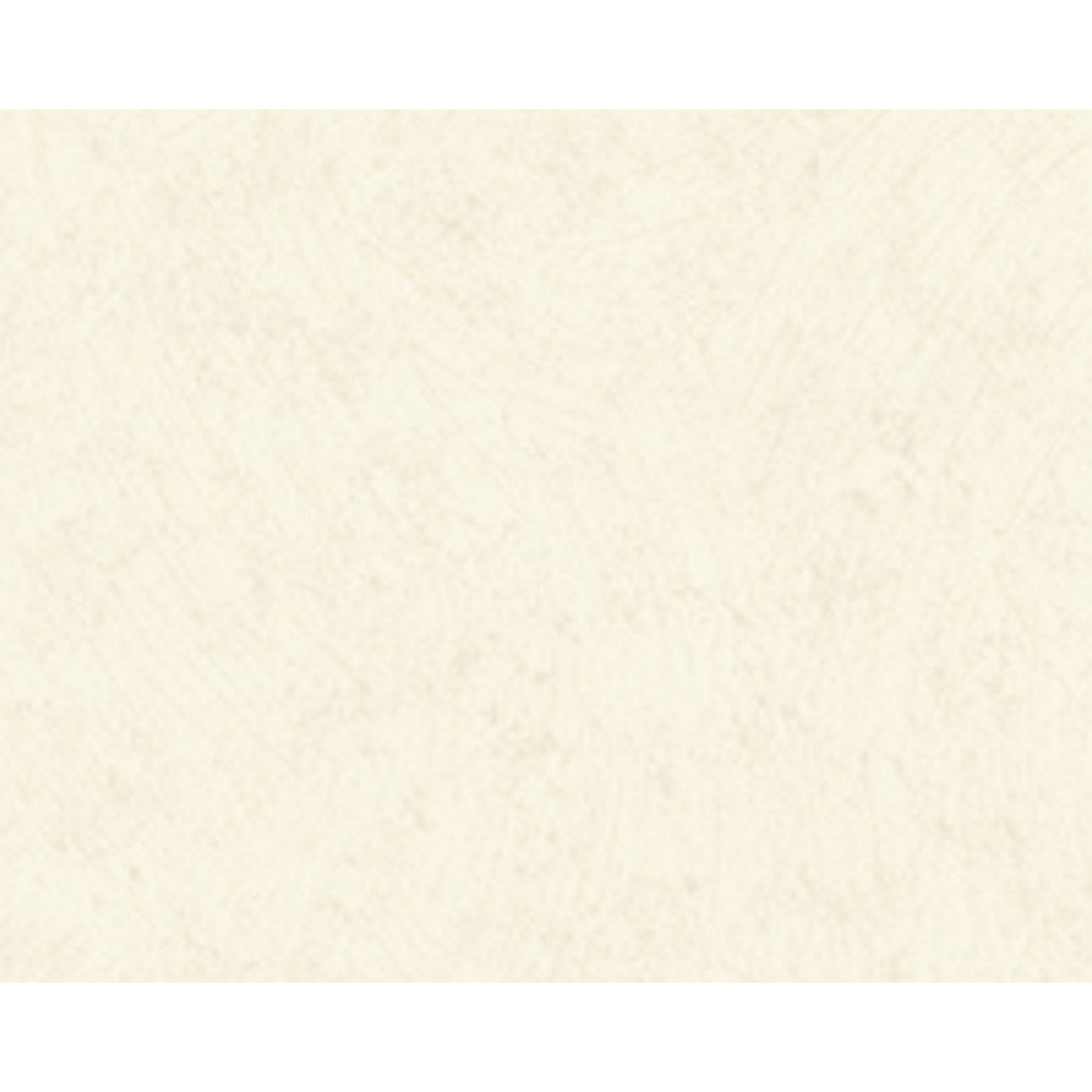 A.S. Creation | Meistervlies | 191151 | Vliestapete | Einfarbig | Uni | 0.53 x 10.05 m | Beige