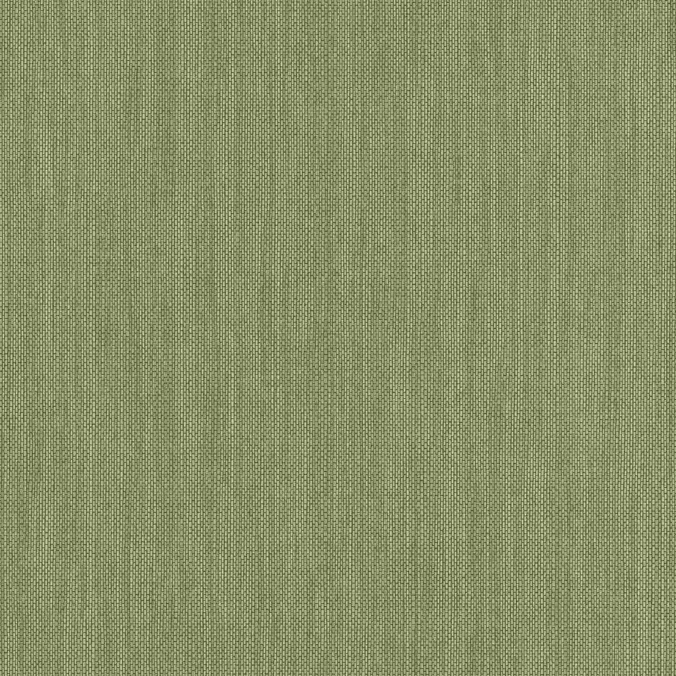 Erismann | Paradisio 2 | 630936 | Vliestapete | Einfarbig | Uni | 0.53 x 10.05 m | Grün