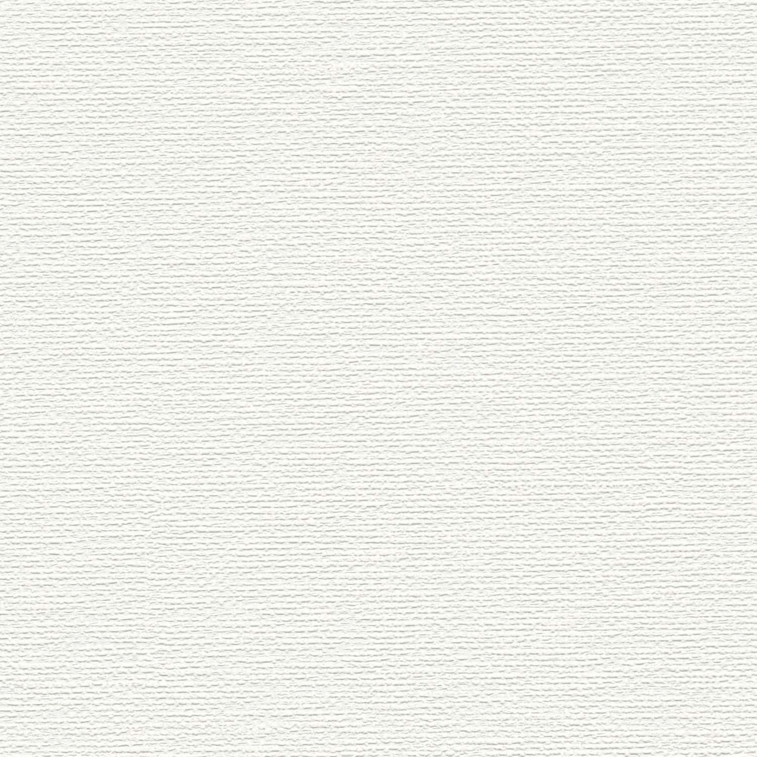 A.S. Creation | Premium Wall 2 | 389751 | Vliestapete | Einfarbig | 10.05 x 0.53 m | Weiß