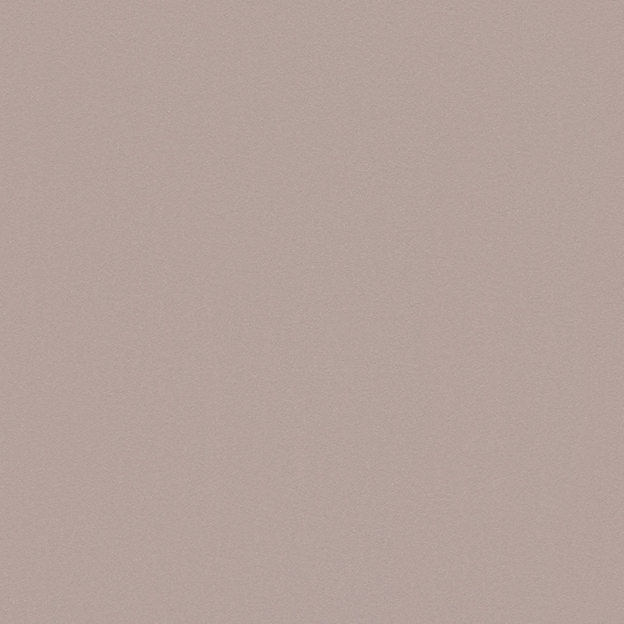 A.S. Creation | Spot 3 | 296528 | Vliestapete | Einfarbig | Uni | 0.53 x 10.05 m | Grau