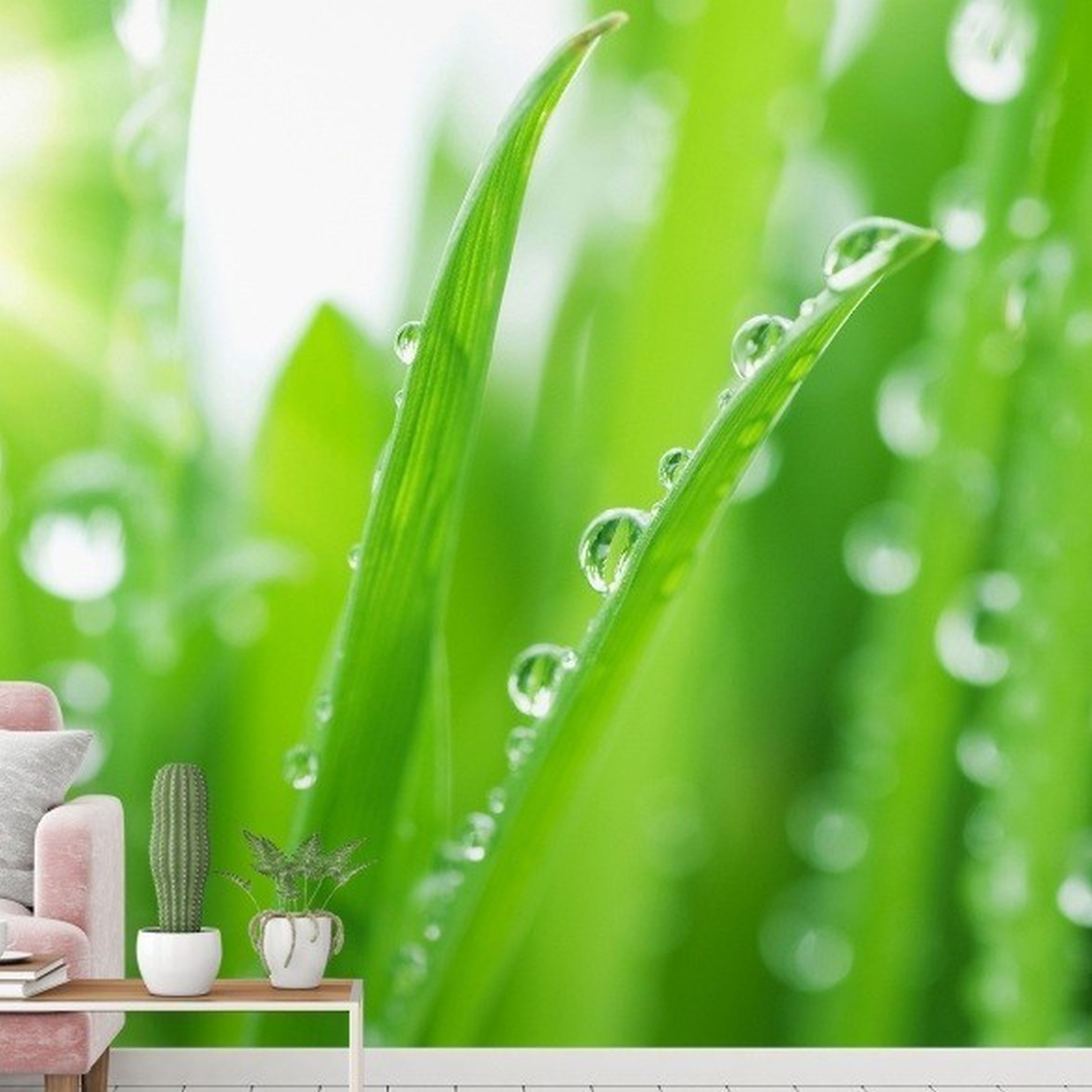 A.S. Creation | XXL 5 | DD115012 | Fototapete | Vlies | Versch. Größen | Wald & Pflanzen | Grün