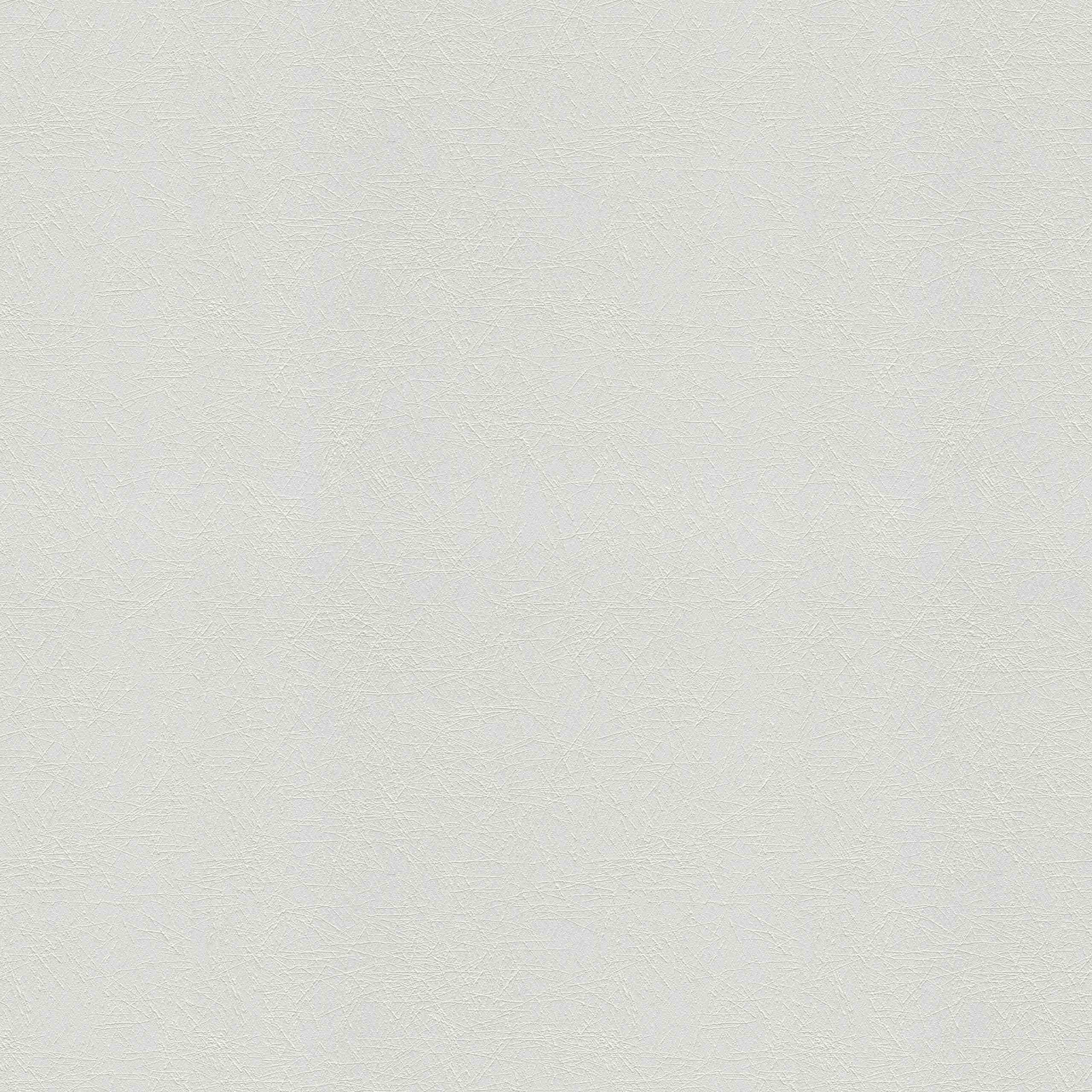 A.S. Creation | Meistervlies | 573018 | Vliestapete Überstreichbar | Putz | 1.06 x 25 m | Weiß