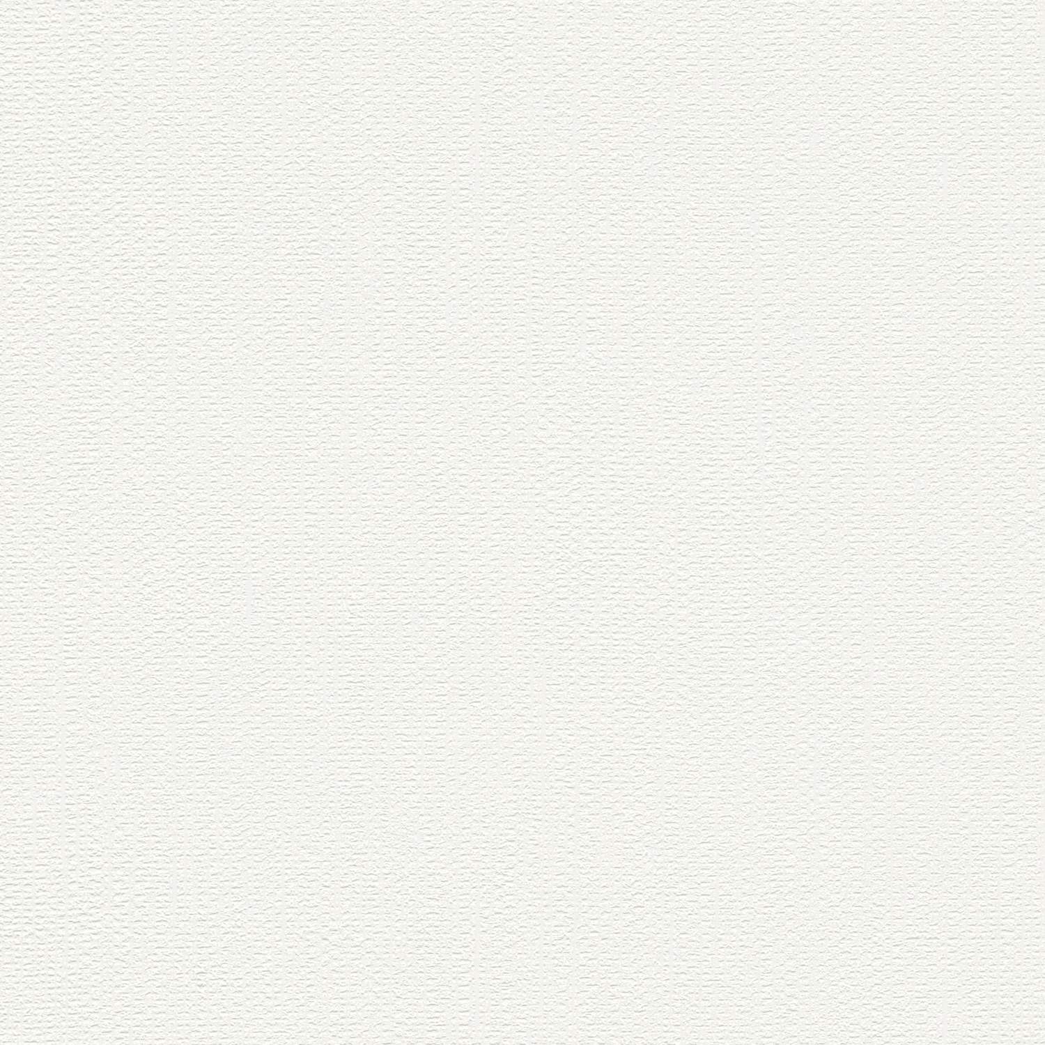 A.S. Creation | Premium Wall 2 | 389909 | Vliestapete | Einfarbig | 10.05 x 0.53 m | Weiß