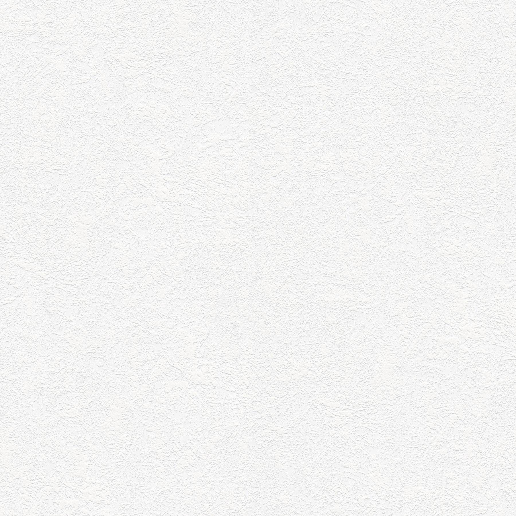 A.S. Creation | Meistervlies | 248718 | Vliestapete Überstreichbar | Putz | 0.53 x 10.05 m | Weiß