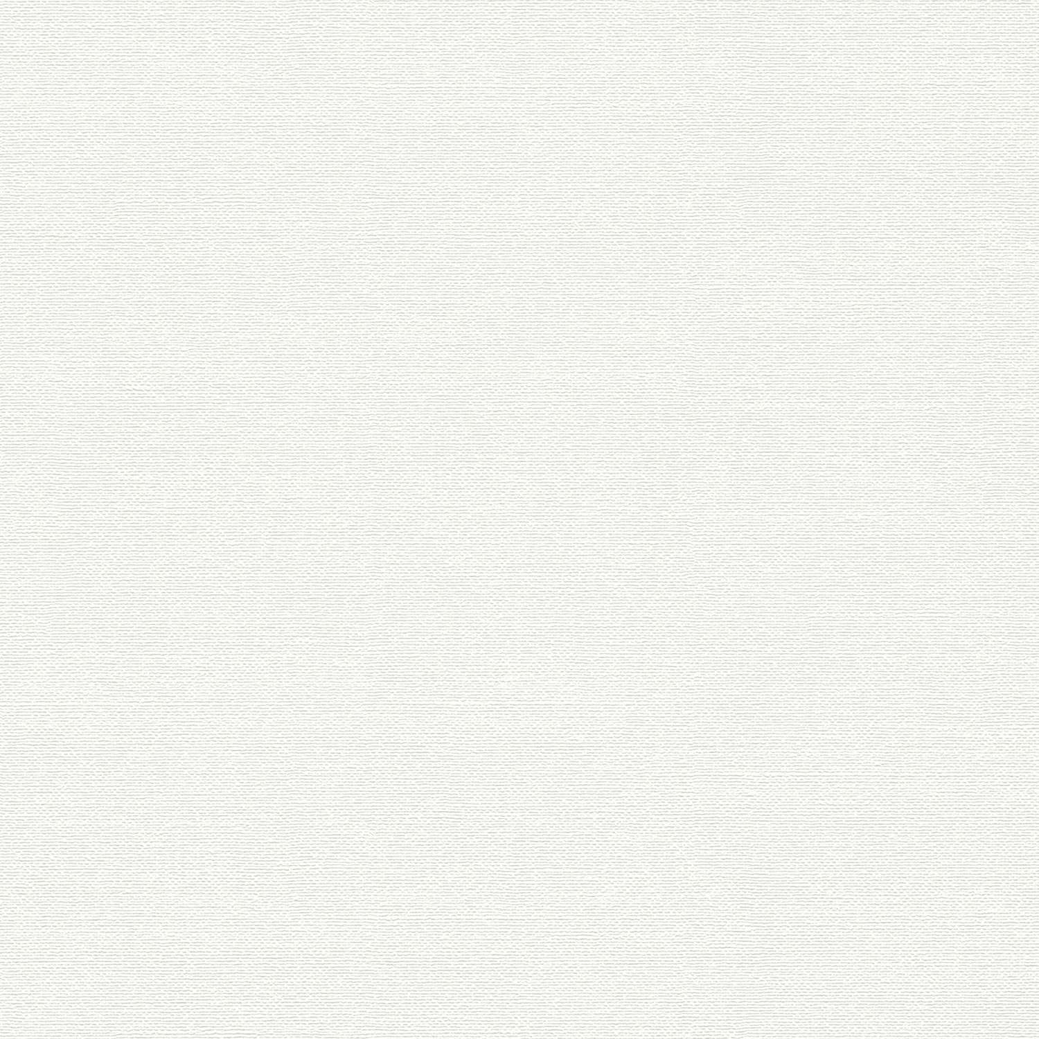 A.S. Creation | Premium Wall 2 | 389731 | Vliestapete | Einfarbig | 10.05 x 0.53 m | Weiß