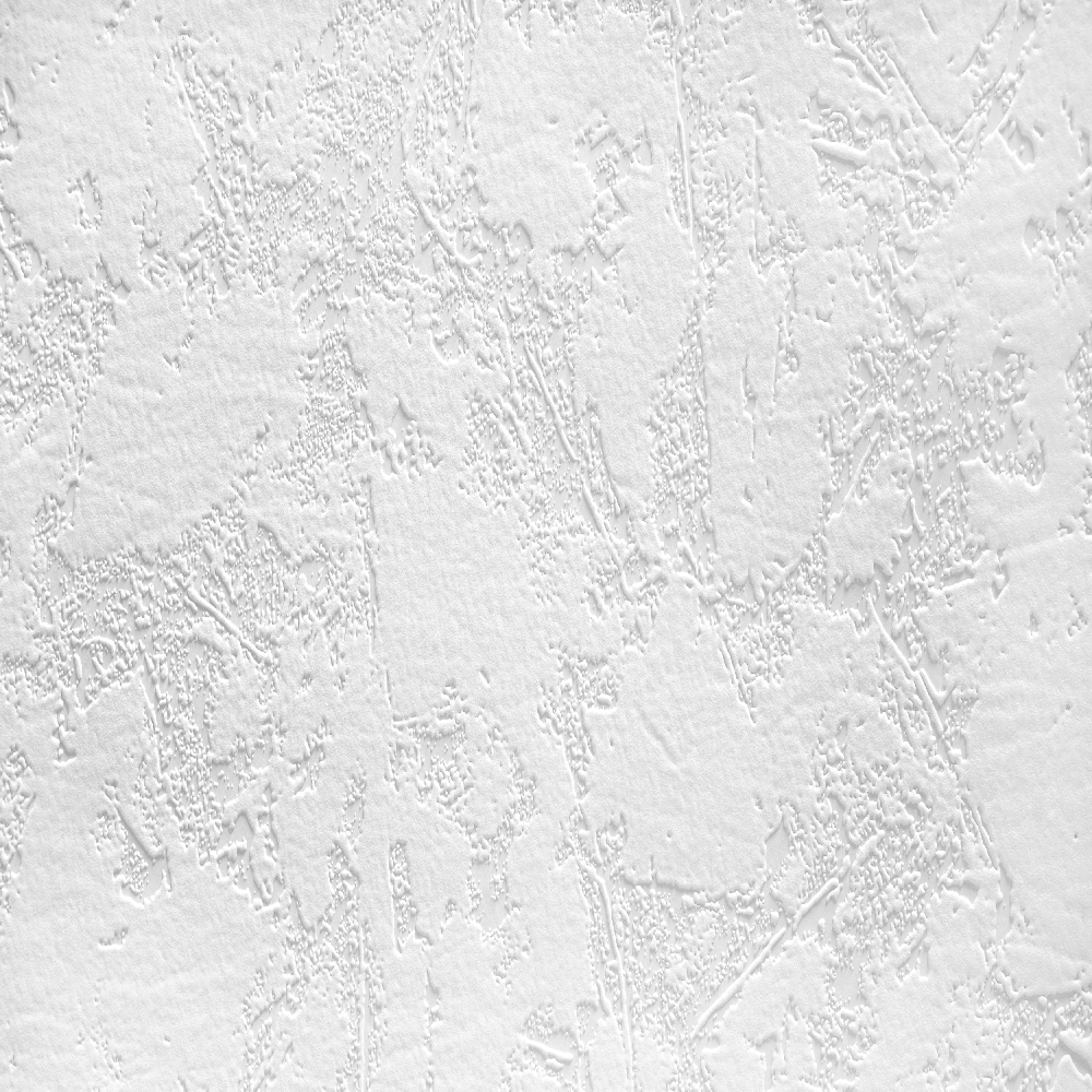 A.S. Creation | Meistervlies | 522016 | Vliestapete Überstreichbar | Putz | 1.06 x 25 m | Weiß