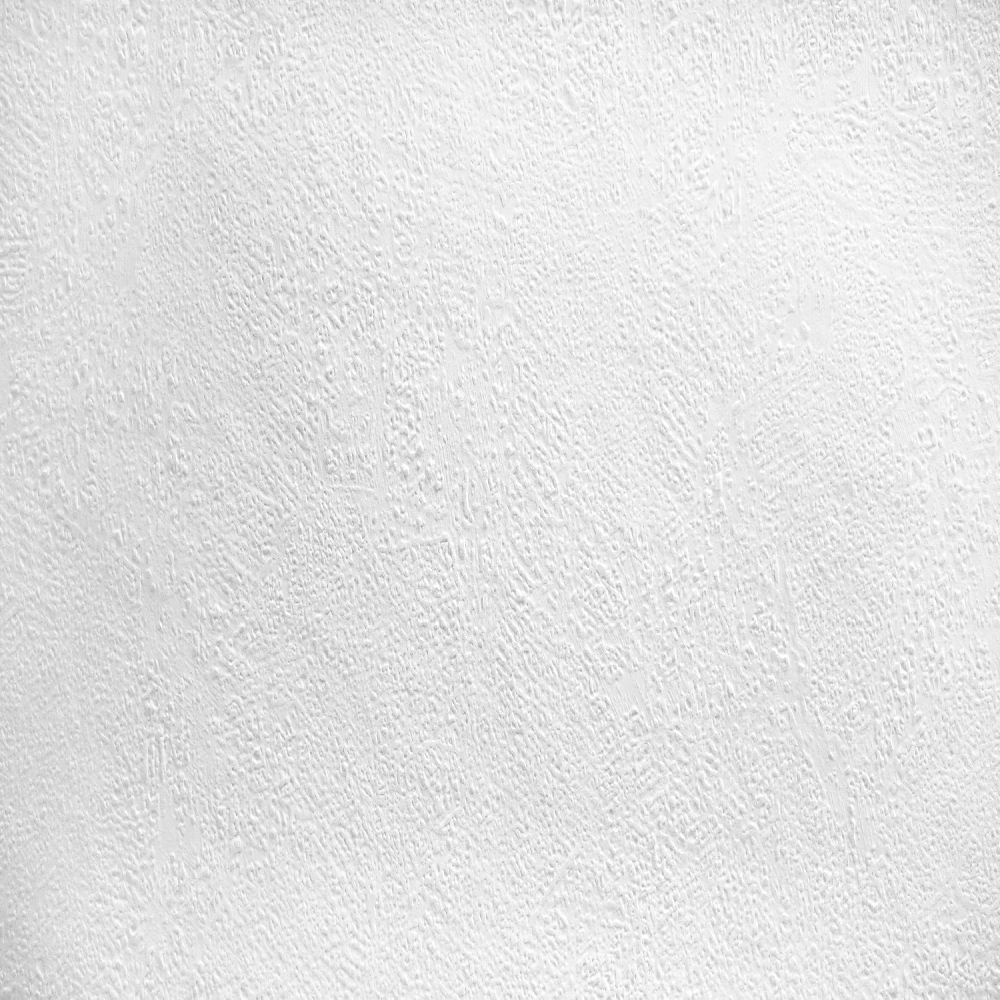 A.S. Creation | Meistervlies | 316011 | Vliestapete Überstreichbar | Putz | 0.53 x 10.05 m | Weiß