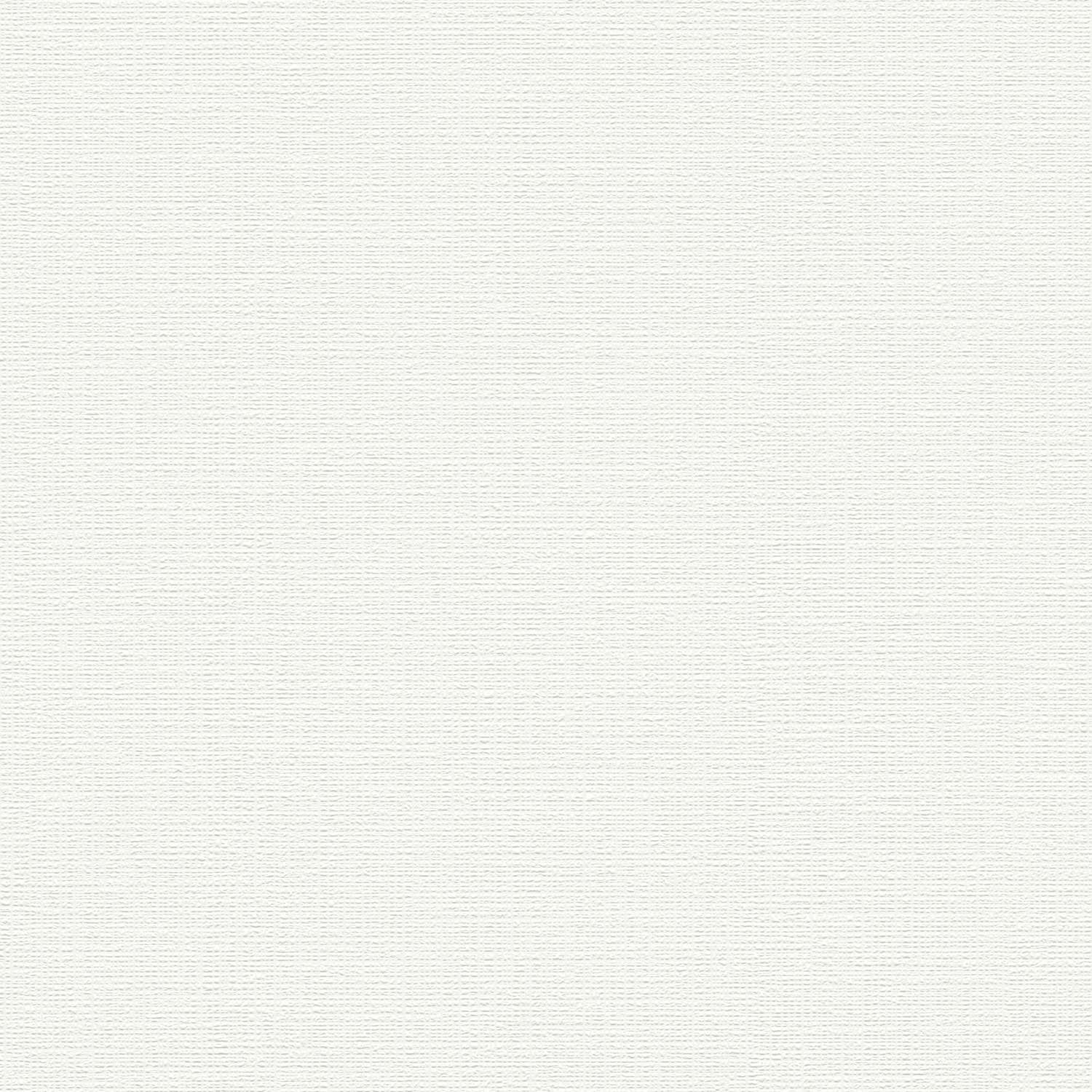 A.S. Creation | Premium Wall 2 | 389721 | Vliestapete | Einfarbig | 10.05 x 0.53 m | Weiß