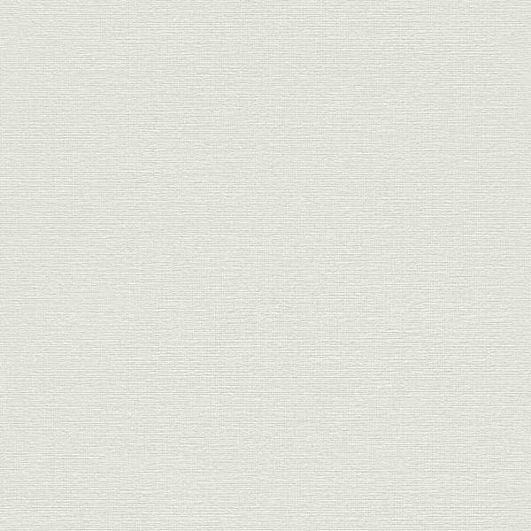 Rasch Unsere Besten 2022 | 732351 | Vliestapete Einfarbig | 0.53 m x 10.05 m | Grau