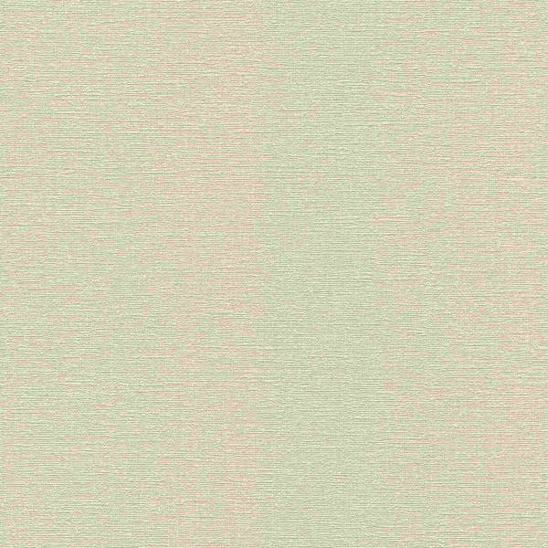 Rasch | Hotspot | 804348 | Vliestapete | Einfarbig | Uni | 0.53 x 10.05 m | Beige